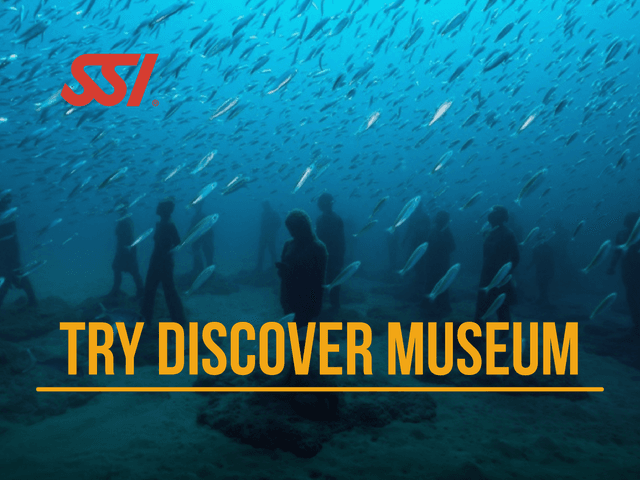 TRY DISCOVER MUSEUM