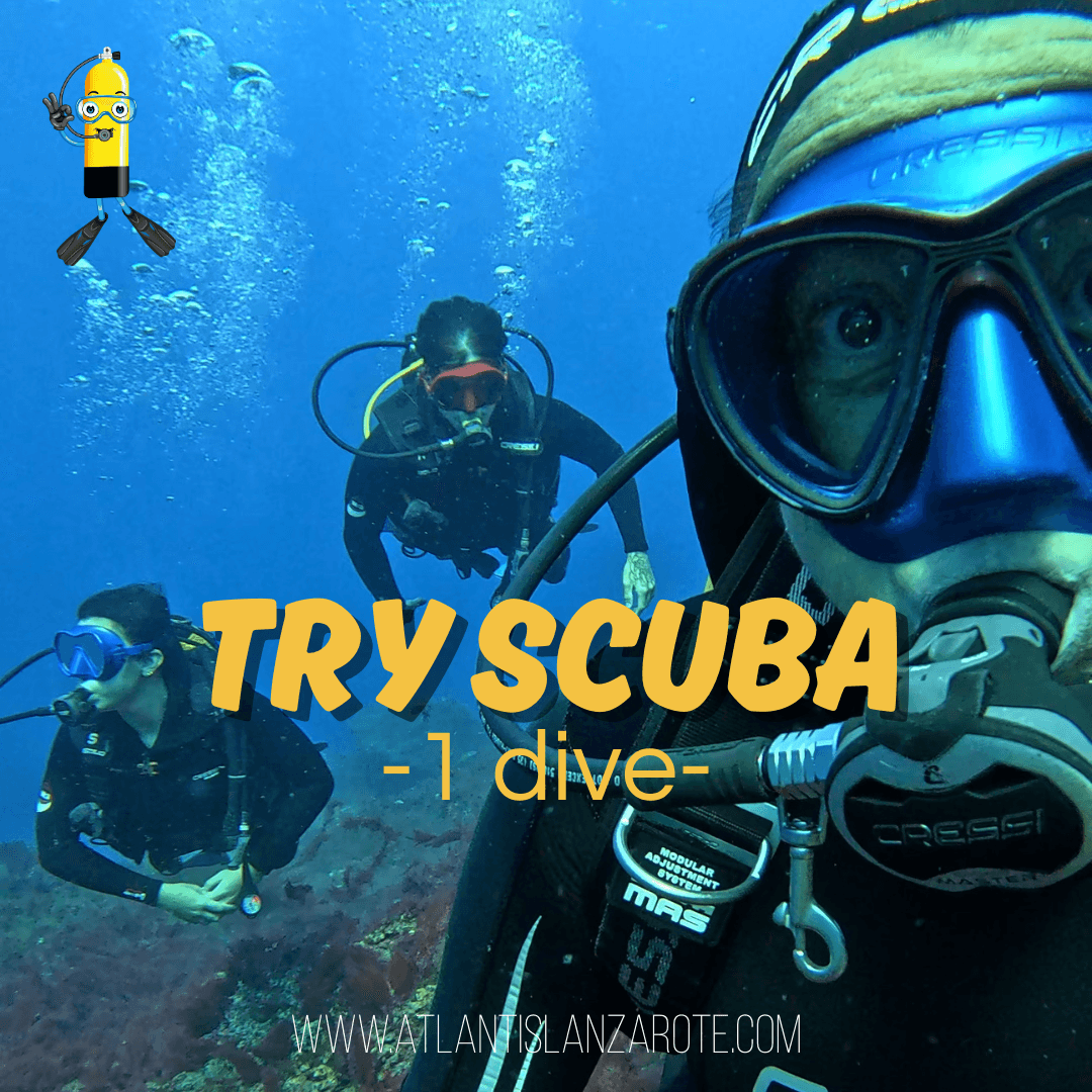 TRY SCUBA - BAUTIZO 1 INMERSION