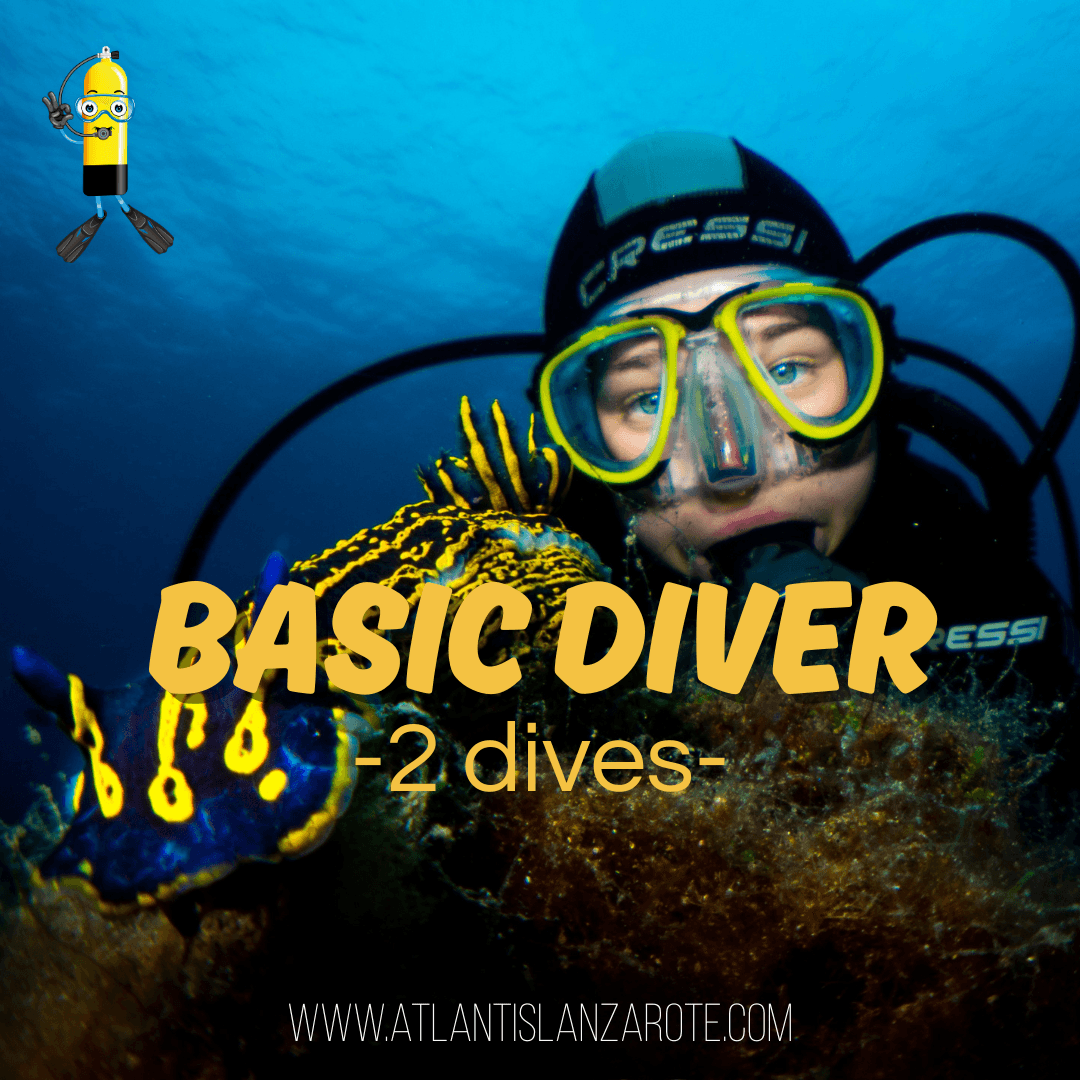 DIV03 - DISCOVER SCUBA DIVER -CURSO BUCEO 2 INMERSIONES