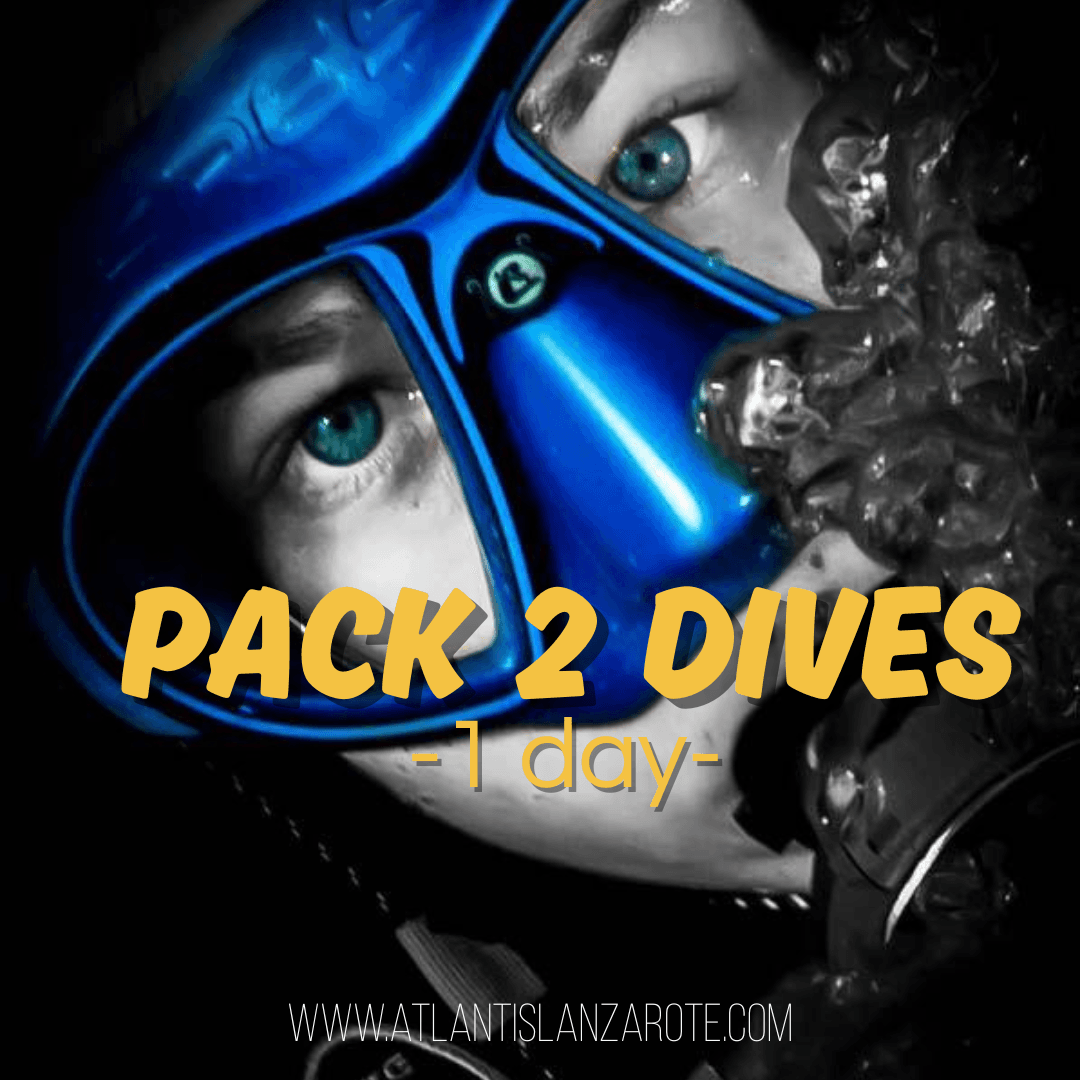 Pack 2 inmersiones