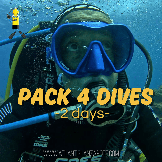Pack 4 inmersiones