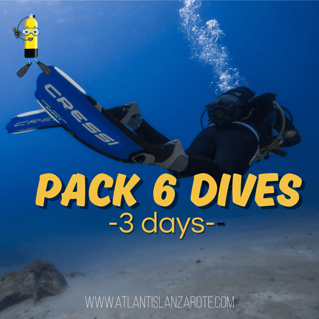 03 - Pack 6 inmersiones