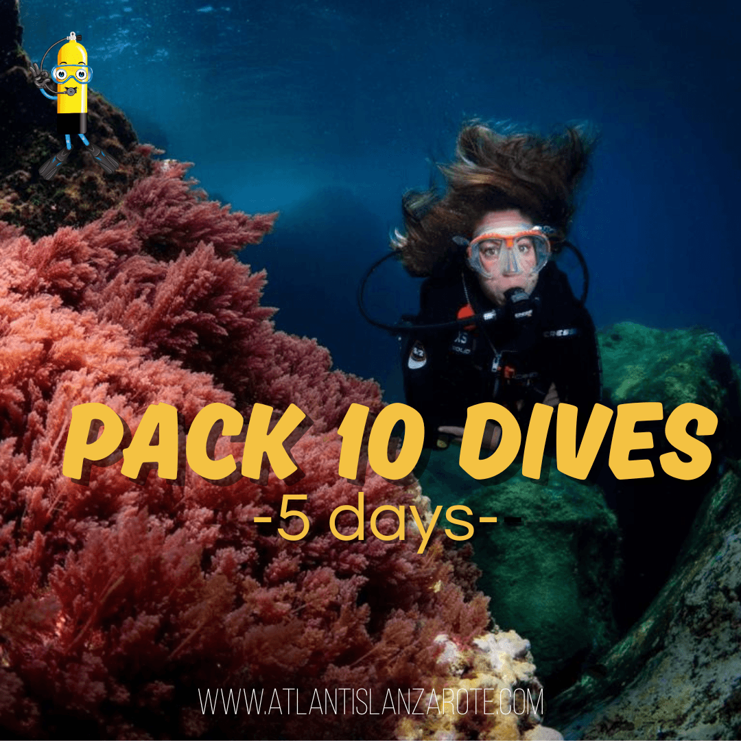 04 - Pack 10 inmersiones