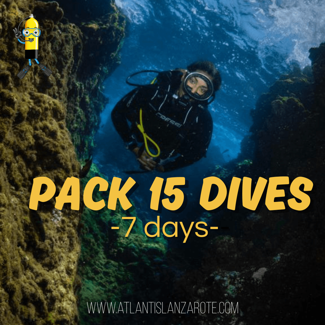 Pack 15 inmersiones