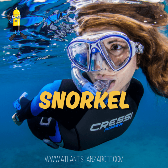SNORQUEL TOUR