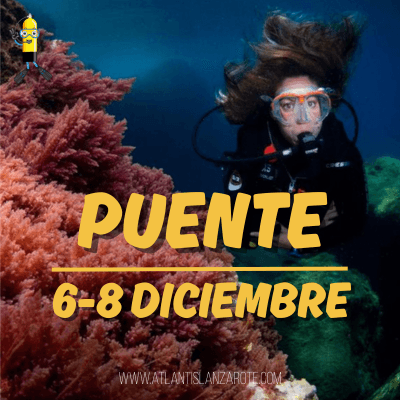 Puente 6-8 Diciembre (7 inmersiones)