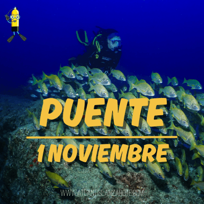 Puente 1 de Noviembre (7 inmersiones)