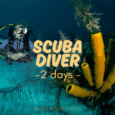 DIV04 - SCUBA DIVER COURSE