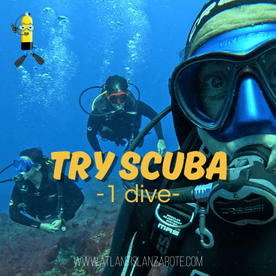 DIV02 - TRY SCUBA – CURSO BUCEO 1 INMERSIÓN