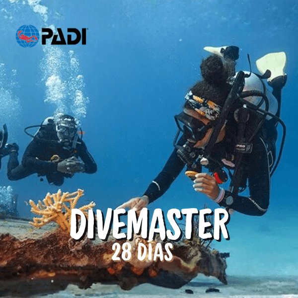 PRO2 - DIVEMASTER