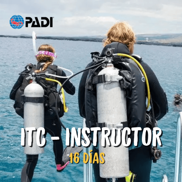 PRO3 - CURSO INSTRUCTOR