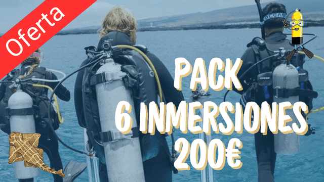 Pack 6 inmersiones FERIA